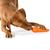  Planet Dog Orbee- Tuff Carrot Dog Toy - Demo